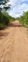 Mashamba Makubwa Kirwa Road Yanauzwa - Tayari kwa Kumwagilia - 3