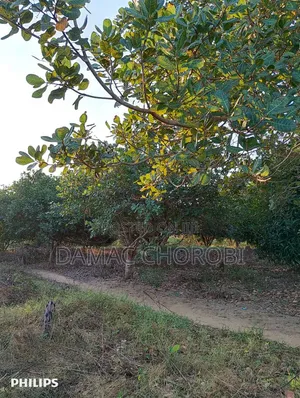 Large Farmlands for Sale - Kirwa Road, Irrigation Ready
