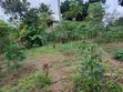 400 sqm Commercial Land for Sale in Goba - 1
