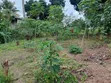 400 sqm Commercial Land for Sale in Goba - 2