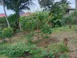 400 sqm Commercial Land for Sale in Goba - 5