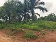 Industrial Plots for Sale, Mkuranga - 4