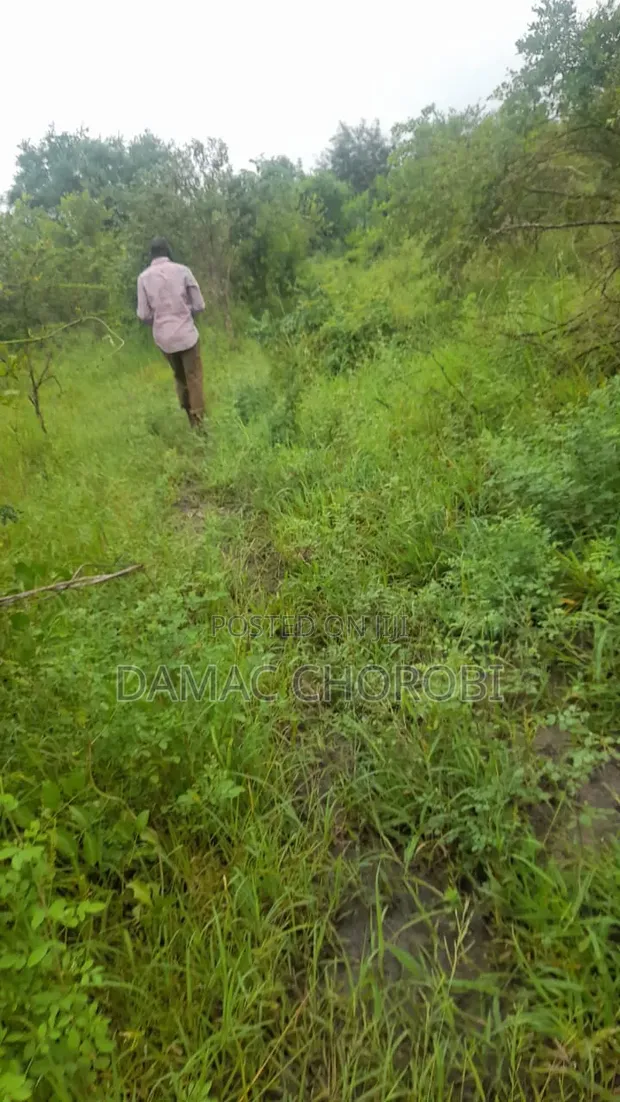 Eneo la Viwanda kwa Mauzo - Ekari 150, Misugusugu, Kibaha - 1