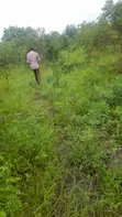 Eneo la Viwanda kwa Mauzo - Ekari 150, Misugusugu, Kibaha - 1