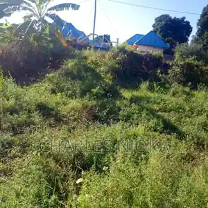 Land Plot 300 Sqm for Residential Use in Chuorada, Ilala