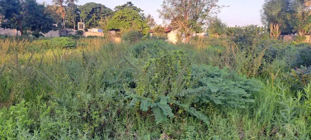 Yard for Rent - Boko Chama - 1