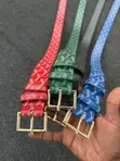 Goyard Belts with Iconic Chervon Pattern - 1