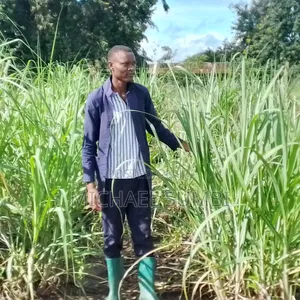 Agricultural Economist CV