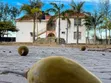 Beach Plot for Sale - Bahari Beach - 5