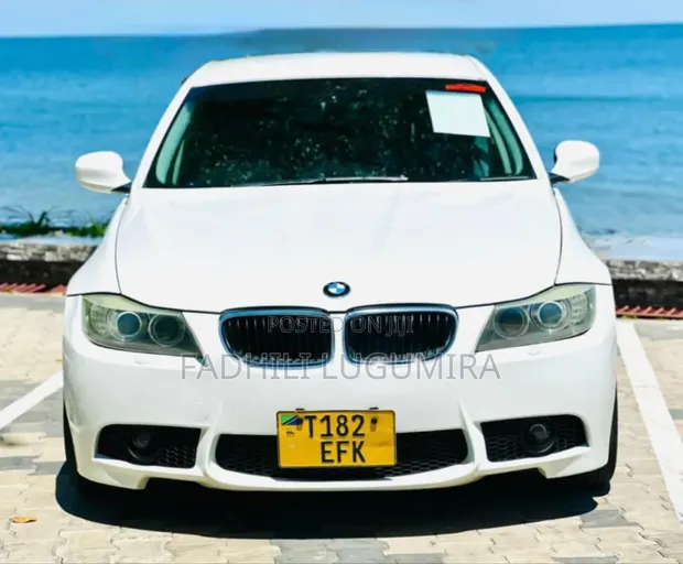 BMW 3 Series 2009 White - 1