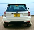 Toyota Harrier 2010 White - 4