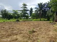 Residential Plot for Sale - Zinga - 1