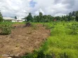 Land Plot for Sale - Mabwepande Manzese - 1