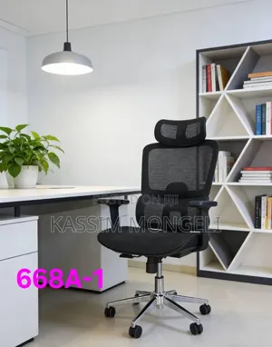 Brand New Ergonomic Office Chair