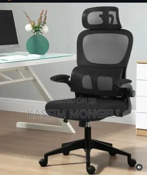 Ergonomic Office Chair - Brand New