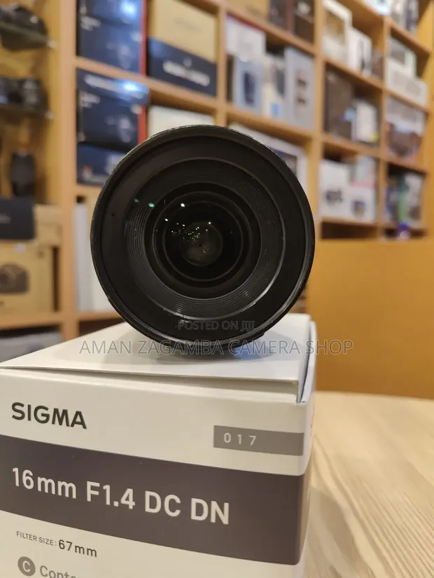 Sigma 16mm Wide-Angle Lens for Sony - 1