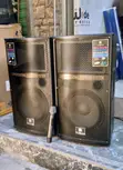 Richsound Professional Speaker 12" RS102B - 3