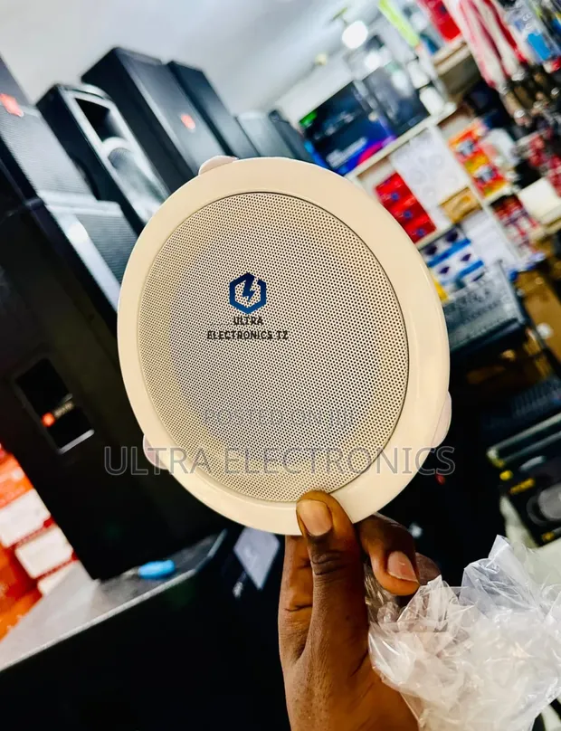 Professional 6-Inch Audio Ceiling Speaker - 1