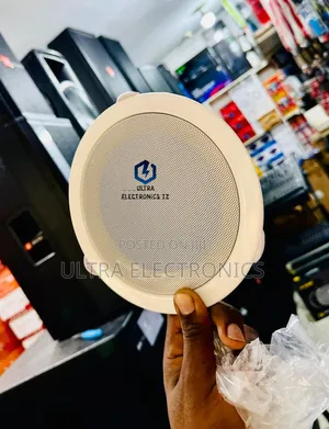 Professional 6-Inch Audio Ceiling Speaker