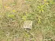 Residential Plot for Sale - Buswelu, Kahama - 5