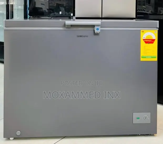 Samsung Chest Freezer RI70F29V1GAG H 287L - 1