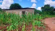 10 Acres Farm with 2 Modern Houses for Sale, Kiwangwa Bagamoyo - 5