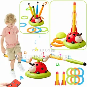 3-in-1 Ladybug Musical Activity Toy Set