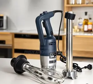 Commercial Immersion Blender 500W