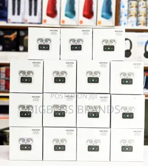 Pods Display ANC/ENC In-Ear Earbuds - Brand New