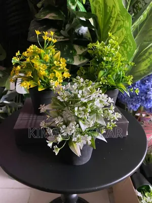 Small Modern Decorative Flowers