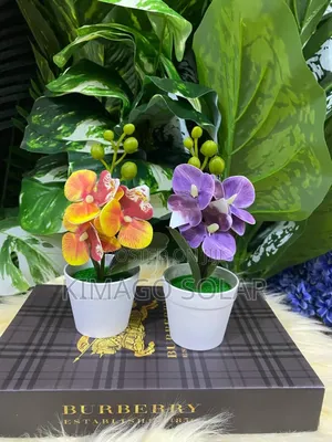 Small Premium Look Artificial Flowers (Set of 1)