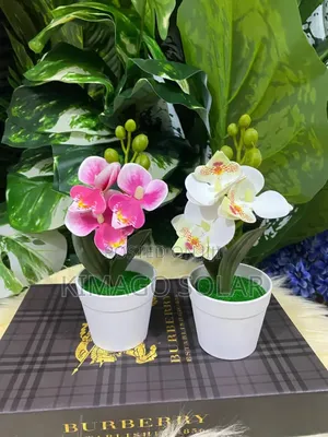 Office Flowers - Enhance Your Space