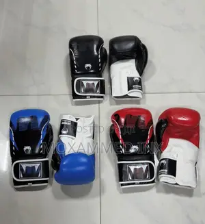 Brand New Boxing Gloves