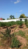 Plot for Sale in Kisesa, Mwanza - 5