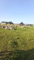 Plot for Sale in Mwanza Kanyama Kisesa - 1