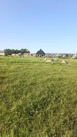 Plot for Sale in Mwanza Kanyama Kisesa - 3