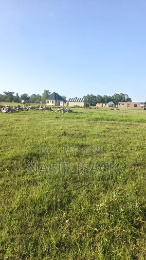 Plot for Sale in Mwanza Kanyama Kisesa