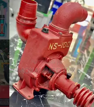 Royalty NS Pump Model 100 - 4 Inch