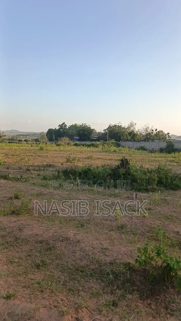 Two Plots for Sale, Mwanza Kisesa - 1