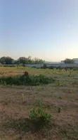 Two Plots for Sale, Mwanza Kisesa - 2