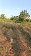 Two Plots for Sale, Mwanza Kisesa - 3