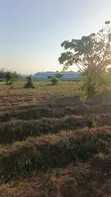 Two Plots for Sale, Mwanza Kisesa - 4