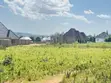 Plots for Sale in Kisesa - Kanyama (Near Mwanza City College) - 2