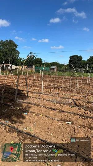 16mm Drip Tapes for Irrigation