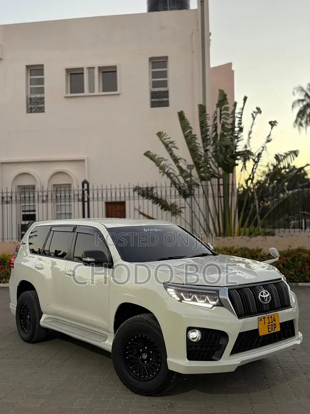 Toyota Land Cruiser Prado 2010 Pearl - 1