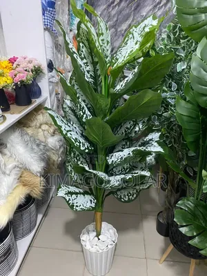 Artificial Dieffenbachia Plant (130cm) with Pot