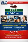 Tally Prime & ERP 9 Accounting Automation Services - 1