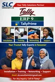 Tally Prime & ERP 9 Accounting Automation Services - 2