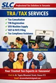 Tally Prime & ERP 9 Accounting Automation Services - 3