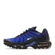 Nike Air Max Plus Premium Collection - 2